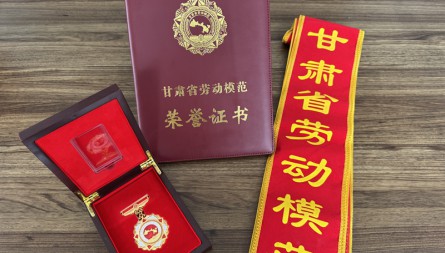 甘肅物流集團(tuán)吳消滔同志獲評“甘肅省勞動模范”