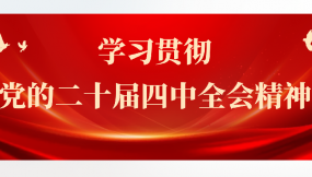  學(xué)習(xí)貫徹黨的二十屆四中全會(huì)精神 | 甘肅國(guó)際物流集團(tuán)所屬企業(yè)學(xué)習(xí)貫徹黨的二十屆四中全會(huì)精神（五）