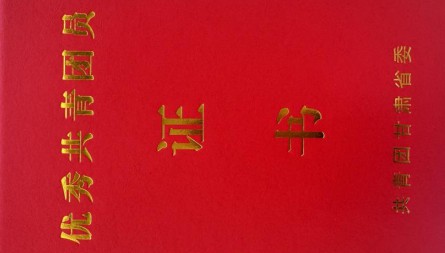 甘肅國際物流集團(tuán)綜保區(qū)公司陳雨青獲評“甘肅省優(yōu)秀共青團(tuán)員”